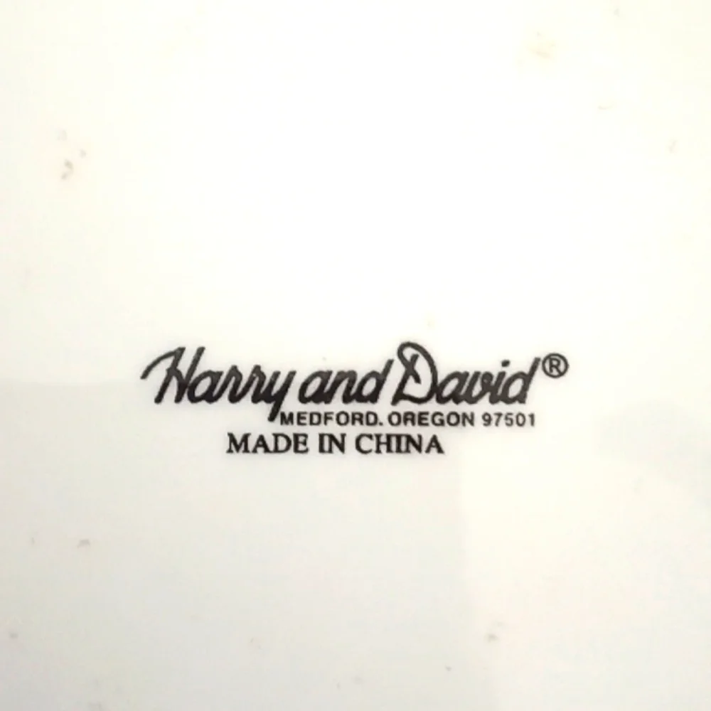 2 Harry and David large salad plates